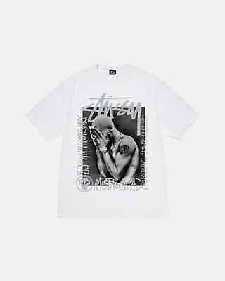 Stussy Goldie Metalheadz 30 Tee White